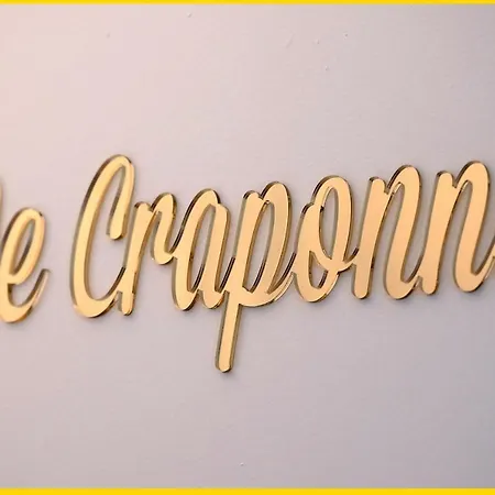 Le Craponne - Magnifique Appartement Cours Principal Plein Centre Avec Parking Salon-de-Provence Esterno foto