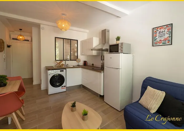 Le Craponne - Magnifique Appartement Cours Principal Plein Centre Avec Parking